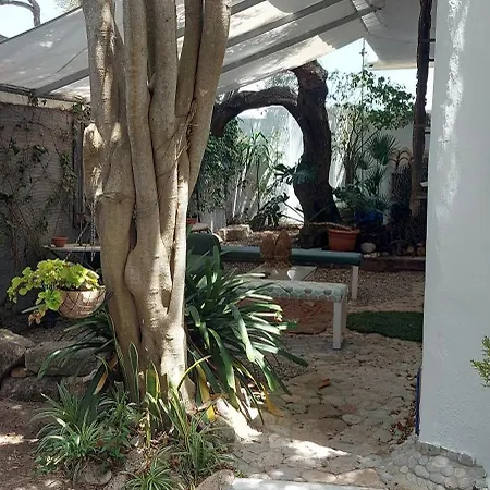 Mi Cachito *