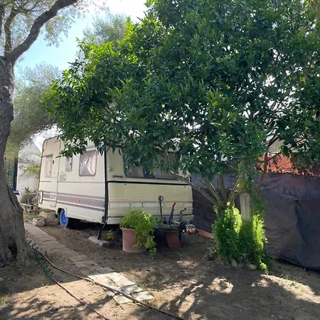 Mi Cachito Holiday park Los Canos De Meca
