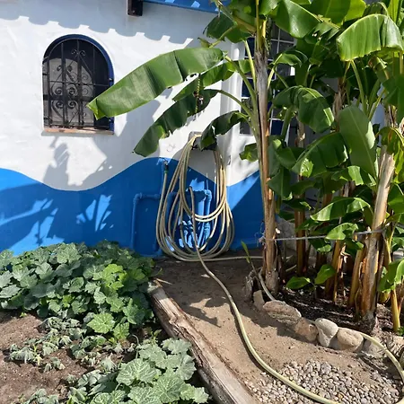 Mi Cachito Los Caños de Meca